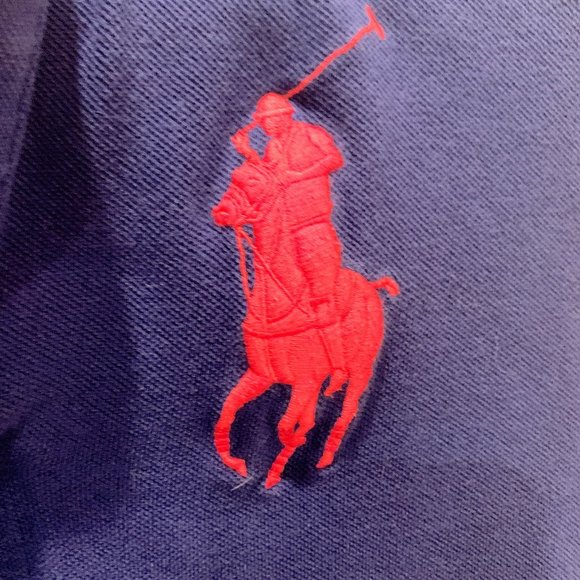 Big Pony Mesh Long-Sleeve Polo-Multi Color - Picture 4 of 6
